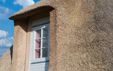 Podmore thatch roof disadvantages