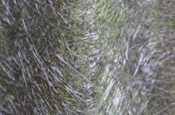 Podmore fibreglass roof work